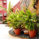 Azotea Suites